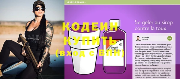 хмурый Корсаков
