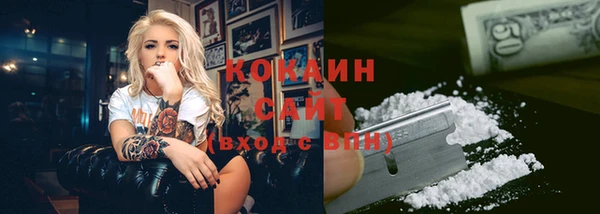 PSILOCYBIN Козельск