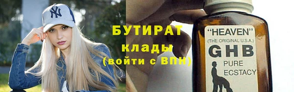ГАЛЛЮЦИНОГЕННЫЕ ГРИБЫ Козловка