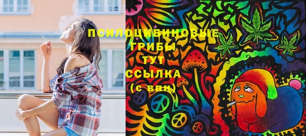 PSILOCYBIN Козельск