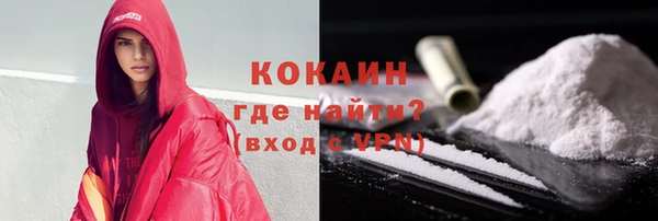 ГАЛЛЮЦИНОГЕННЫЕ ГРИБЫ Козловка