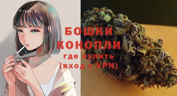 ГАЛЛЮЦИНОГЕННЫЕ ГРИБЫ Козловка