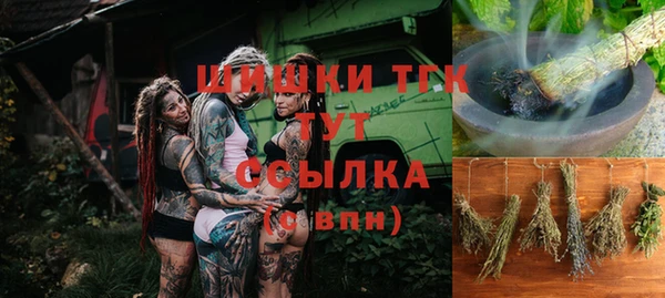 ГАЛЛЮЦИНОГЕННЫЕ ГРИБЫ Коряжма