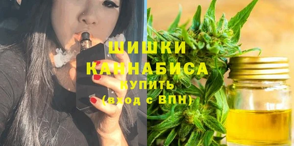 PSILOCYBIN Козельск