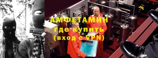 ГАЛЛЮЦИНОГЕННЫЕ ГРИБЫ Козловка