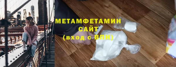 ГАЛЛЮЦИНОГЕННЫЕ ГРИБЫ Козловка