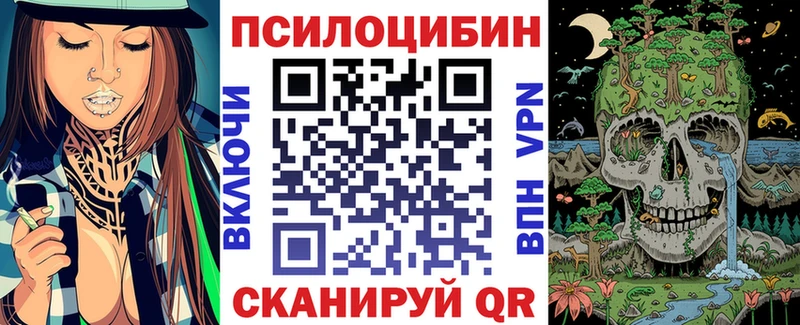 где найти наркотики  Куса  Галлюциногенные грибы Psilocybine cubensis 